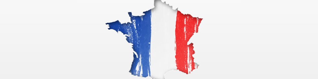 France.com Inc v. French Republic