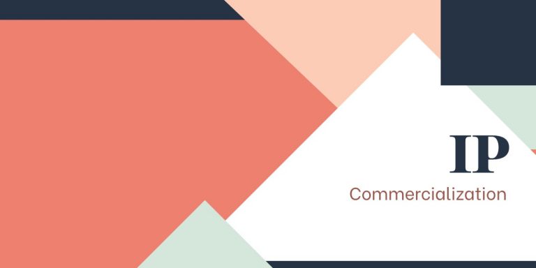 Read more about the article IP COMMERCIALIZATION