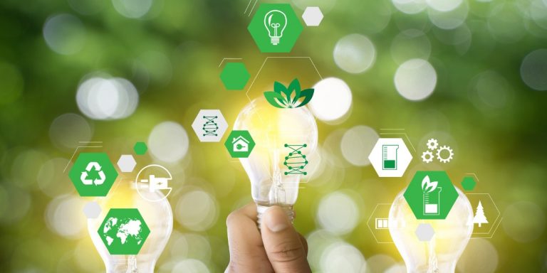 Read more about the article GREEN INNOVATION AND INTELLECTUAL PROPERTY RIGHTS